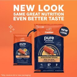 CANIDAE PURE with Wholesome Grains Real Salmon & Barley Recipe Adult Dry Dog Food, 22-lb bag slide 2 of 9
