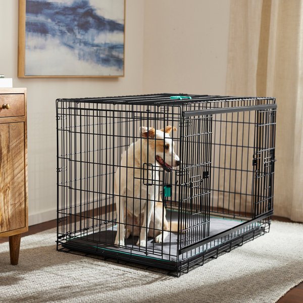 Frisco Heavy Duty Enhanced Lock Sliding Double Door Fold & Carry Wire Dog Crate & Mat Kit, 42 inch slide 1 of 9