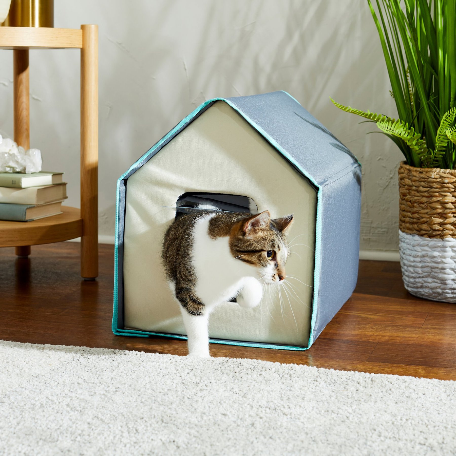 Chewy outdoor heated cat house sale