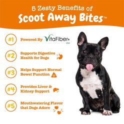 Zesty Paws Scoot Away Bites Chicken Flavored Soft Chews Digestive Supplement for Dogs, 90 count slide 2 of 9