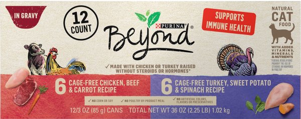 Purina Beyond Chicken & Turkey Variety Pack Wet Cat Food, 3-oz can, case of 12 slide 1 of 10
