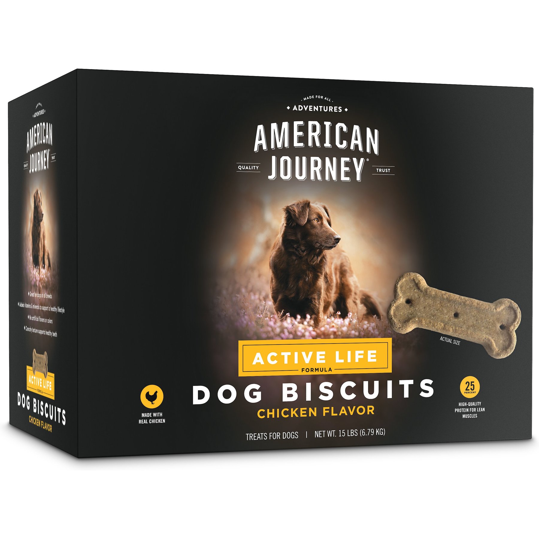 AMERICAN JOURNEY Active Life Chicken Rice Flavor Large Biscuit