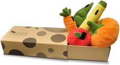 P.L.A.Y. Pet Lifestyle and You Garden Fresh Squeaky Dog Toy, 5 count slide 2 of 8