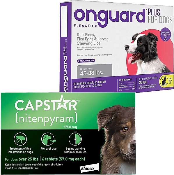 Capstar Flea Oral Treatment for Dogs, over 25 lbs, 6 Tablets + Onguard Flea & Tick Spot Treatment for Dogs, 45-88 lbs, 6 Doses (6-mos. supply) slide 1 of 7