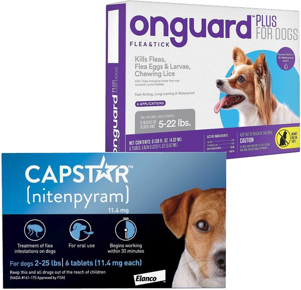 Capstar Flea Oral Treatment for Dogs, 2-25 lbs, 6 Tablets + Onguard Flea & Tick Spot Treatment for Dogs, 5-22 lbs, 6 Doses (6-mos. supply) slide 1 of 4