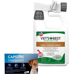 Chewy capstar best sale