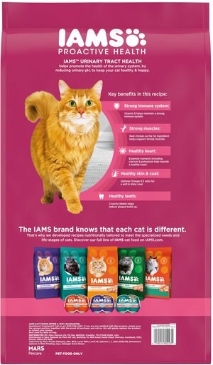 Iams ProActive Health Urinary Tract Health with Chicken Adult Dry Cat Food, 16-lb bag + Greenies Feline SmartBites Healthy Skin & Fur Chicken Flavor Cat Treats, 4.6-oz bag