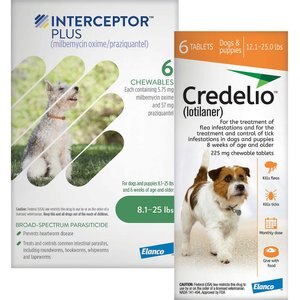 Interceptor Plus Chew for Dogs, 8.1-25 lbs, (Green Box), 6 Chews (6-mos. supply) & Credelio Chewable Tablet for Dogs, 12.1-25 lbs, (Orange Box), 6 Chewable Tablets (6-mos. supply)