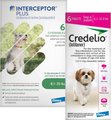 Bundle: Interceptor Plus for Dogs, 6 Chews (6-mos. supply) & Credelio for Dogs, 6 Chewable Tablets (6-m...