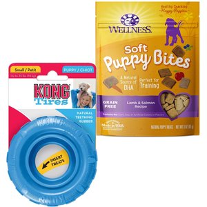KONG Easy Treat Bundle Kong Toy with 8oz Easy Treat (choose size and  flavor)