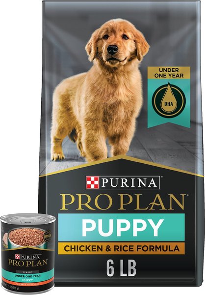 Purina Pro Plan Puppy Chicken & Rice Formula Dry Food + Focus Puppy Classic Chicken & Rice Entree Canned Dog Food slide 1 of 9