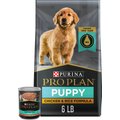 Purina Pro Plan Puppy Chicken & Rice Formula Dry Food + Focus Puppy Classic Chicken & Rice Entree Canned Dog Food