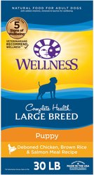 Wellness Large Breed Complete Health Puppy Deboned Chicken, Brown Rice & Salmon Meal Recipe Dry Dog Food, 30-lb bag + Wellness CORE Bowl Boosters Bare Turkey Freeze-Dried Dog Food Mixer or Topper, 4-oz bag slide 2 of 9