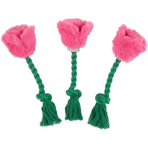 Frisco Roses Plush with Rope Squeaky Dog Toy, 3 count