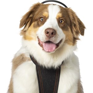 Assisi Animal Health Calmer Canine Anxiety Treatment System Dog Bundle, Medium