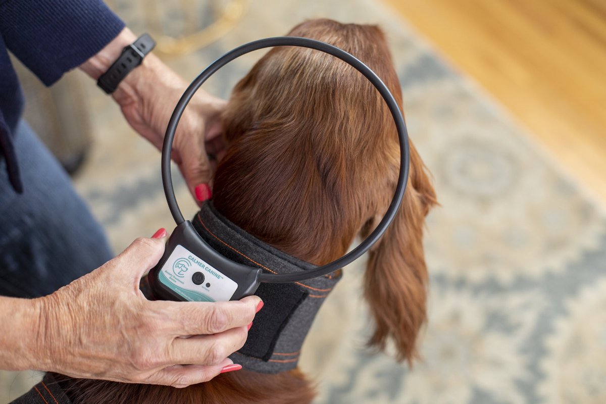Image showcasing ASSISI ANIMAL HEALTH Calmer Canine Anxiety Treatment System Dog Bundle ...