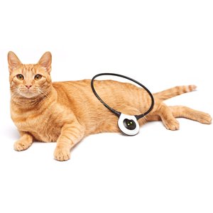 Assisi Animal Health 2.0 Manual Dog & Cat Loop, 20-cm