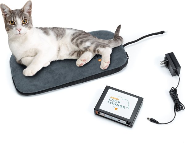 Assisi Animal Health Loop Lounge tPEMF Dog & Cat System