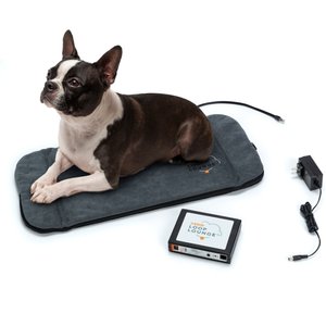 Assisi Animal Health Loop Lounge tPEMF Dog & Cat System, Small