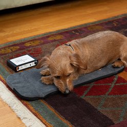 Assisi Animal Health Loop Lounge tPEMF Dog & Cat System, Small slide 2 of 5