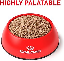 Royal Canin Veterinary Diet Adult Satiety Support Weight Management Loaf in Sauce Canned Cat Food, 5.1-oz, case of 24 slide 2 of 9