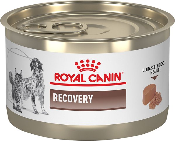 Royal Canin Veterinary Diet Recovery Ultra Soft Mousse in Sauce Wet Dog &  Cat Food