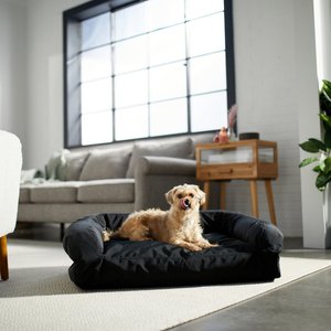 Unearthing the Mystery: Why Do Dogs Dig on Beds and Couches?