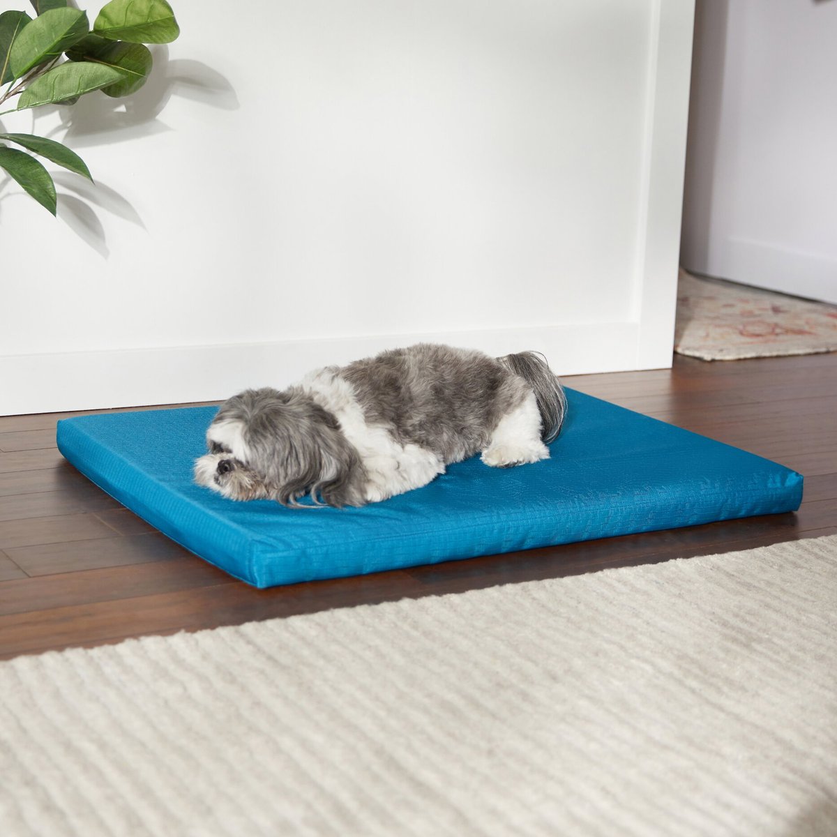 Durable dog outlet beds for crates