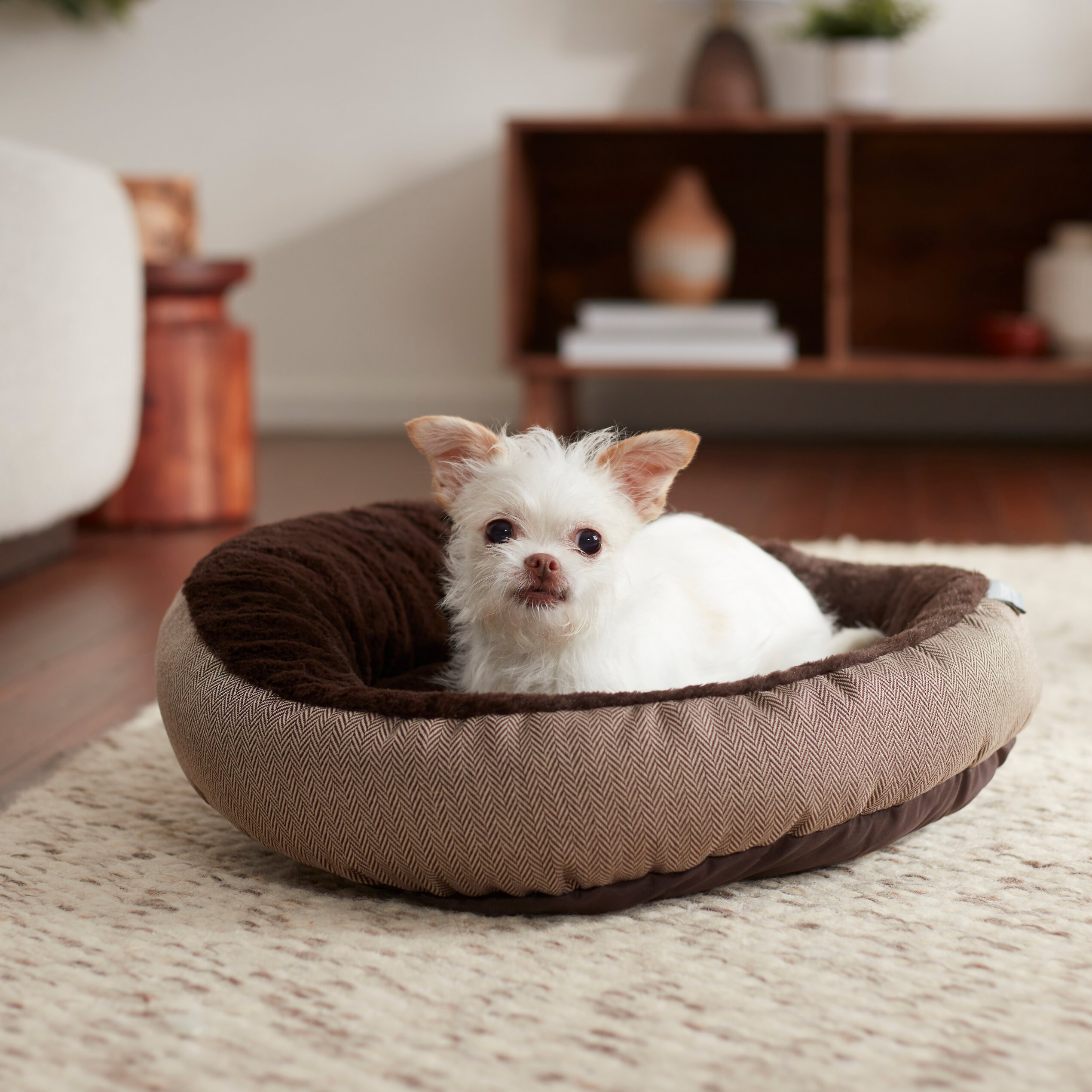 Frisco dog shop bed reviews