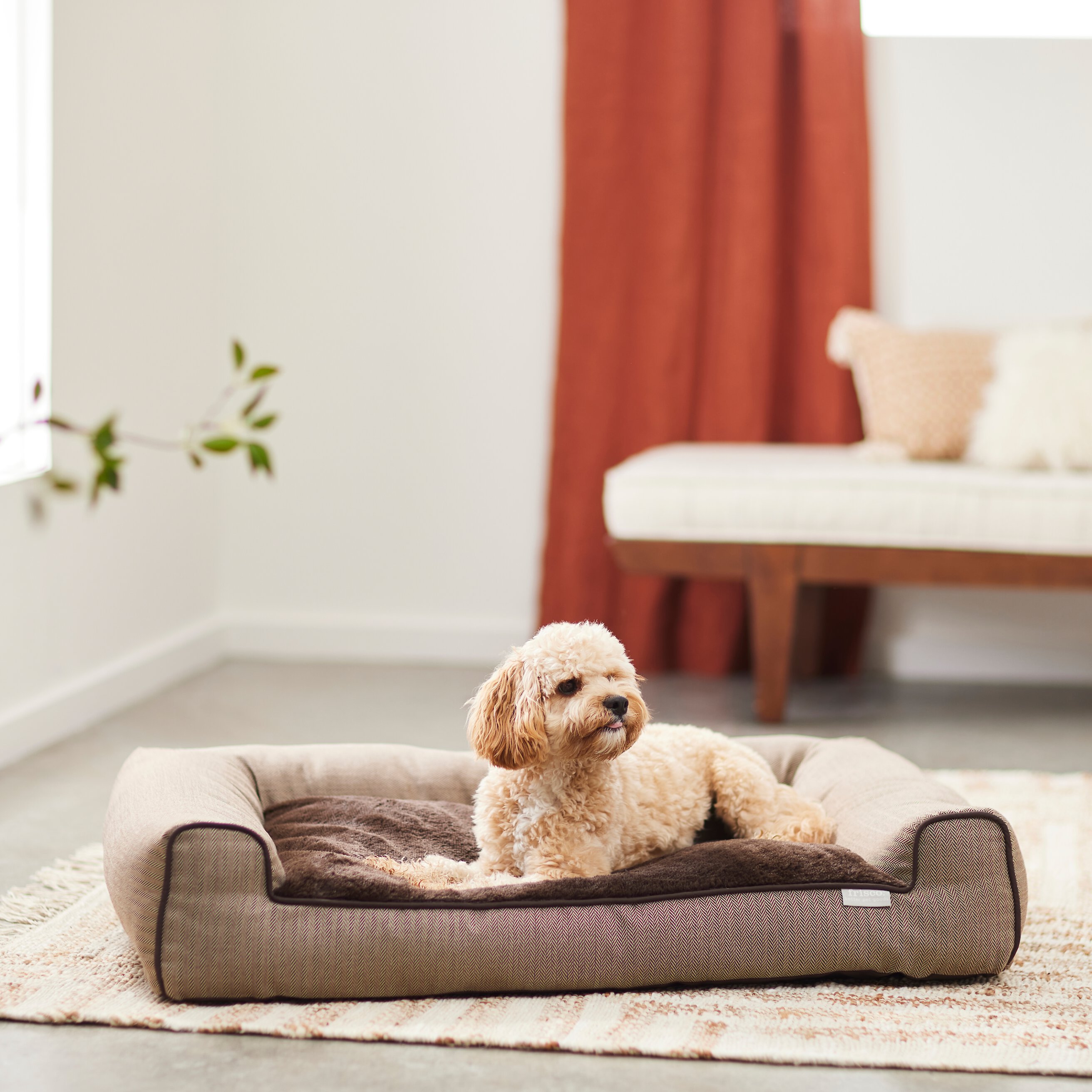 Frisco Boho Modern Couch Dog & Cat Bed