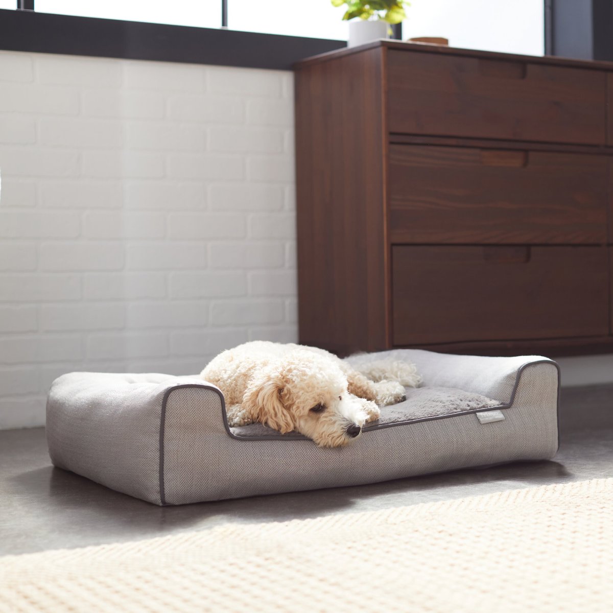 FRISCO Herringbone Modern Couch Dog & Cat Bed, Grey, XX-Large - Chewy.com