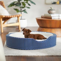Frisco Ortho Cuddler Dog & Cat Bed, Blue, Medium