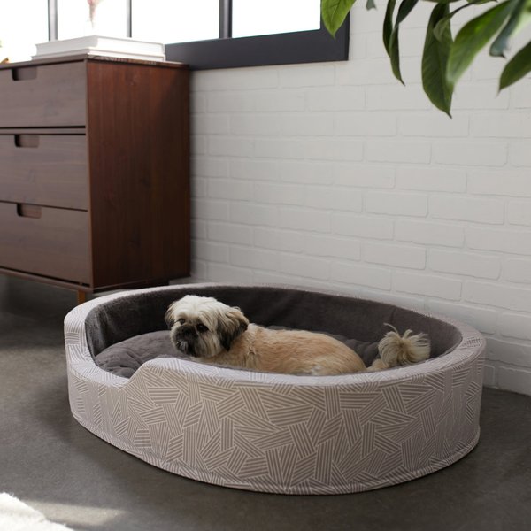 Chewy dog 2024 beds large