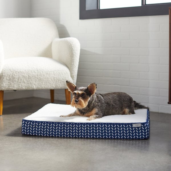 Frisco Ortho Lounger Dog & Cat Bed, Blue, Large slide 1 of 7