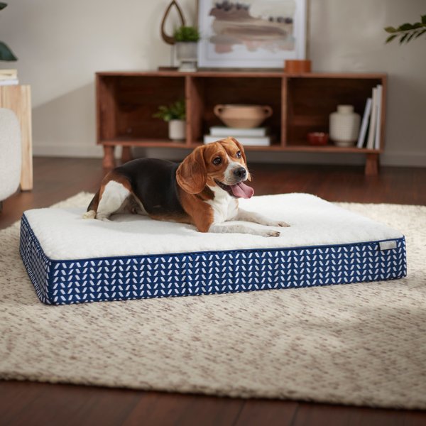 Frisco Ortho Lounger Dog & Cat Bed, Blue, X-Large slide 1 of 7