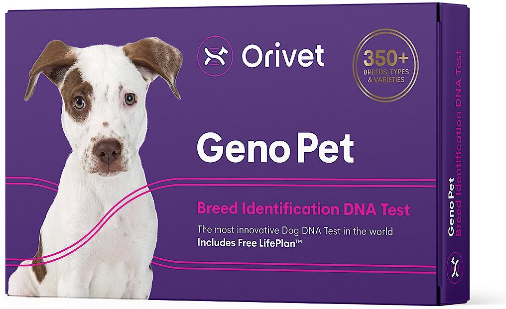 Dog dna test store vet