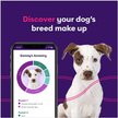 ORIVET Geno Pet Dog DNA Breed Identification Test - Chewy.com