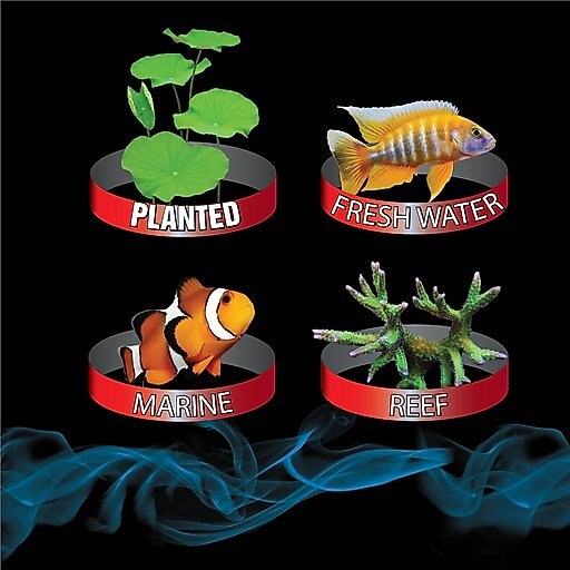 Cobalt Aquatics Microvue 10 Aquarium Kit 10, 2.6-gal