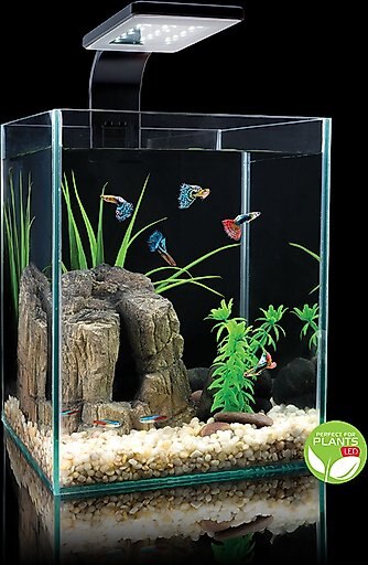 Cobalt Aquatics Microvue 10 Aquarium Kit 10, 2.6-gal