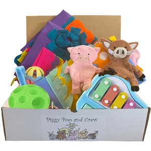 Piggy Poo and Crew Pig Box Treat & Toy Kit, Blue