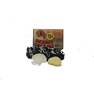 CC Pet Hermit Crab Kit