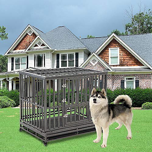 ProSelect Empire Dog Cages