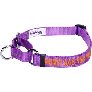 Blueberry Pet Safety Training Personalized Martingale Dog Collar, Dark Orchid, Small: 12 to 16-in neck, 5/8-in wide