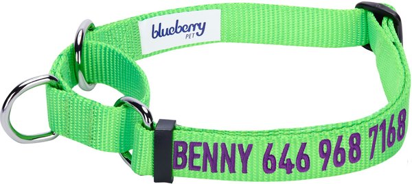 Blueberry Pet Safety Training Personalized Martingale Dog Collar, Neon Green, Small: 12 to 16-in neck, 5/8-in wide slide 1 of 5