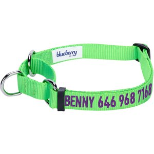 Blueberry Pet Safety Training Personalized Martingale Dog Collar, Neon Green, Small: 12 to 16-in neck, 5/8-in wide