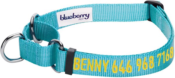 Blueberry Pet Safety Training Personalized Martingale Dog Collar, Medium Turquoise, Medium: 14.5 to 20-in neck 3/4-in wide slide 1 of 5