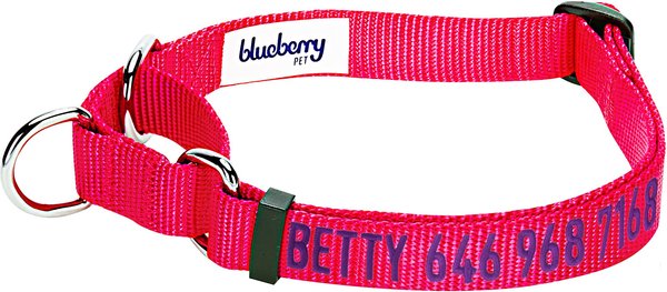 Blueberry Pet Safety Training Personalized Martingale Dog Collar, French Pink, Medium: 14.5 to 20-in neck 3/4-in wide slide 1 of 5