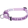 Blueberry Pet Safety Training Personalized Martingale Dog Collar, Lavender, Small: 12 to 16-in neck, 5/8-in wide