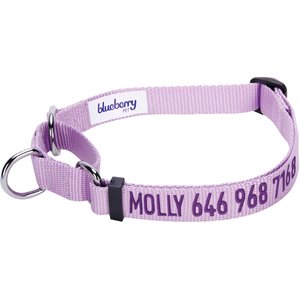 Blueberry Pet Safety Training Personalized Martingale Dog Collar, Lavender, Medium: 14.5 to 20-in neck 3/4-in wide