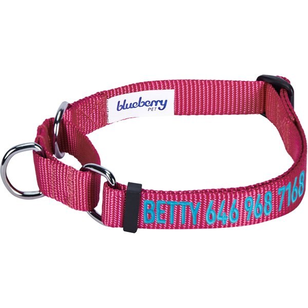 GOTAGS Nylon Personalized Dog Collar, Pink, Small 11 to 16in neck, 5/8in wide